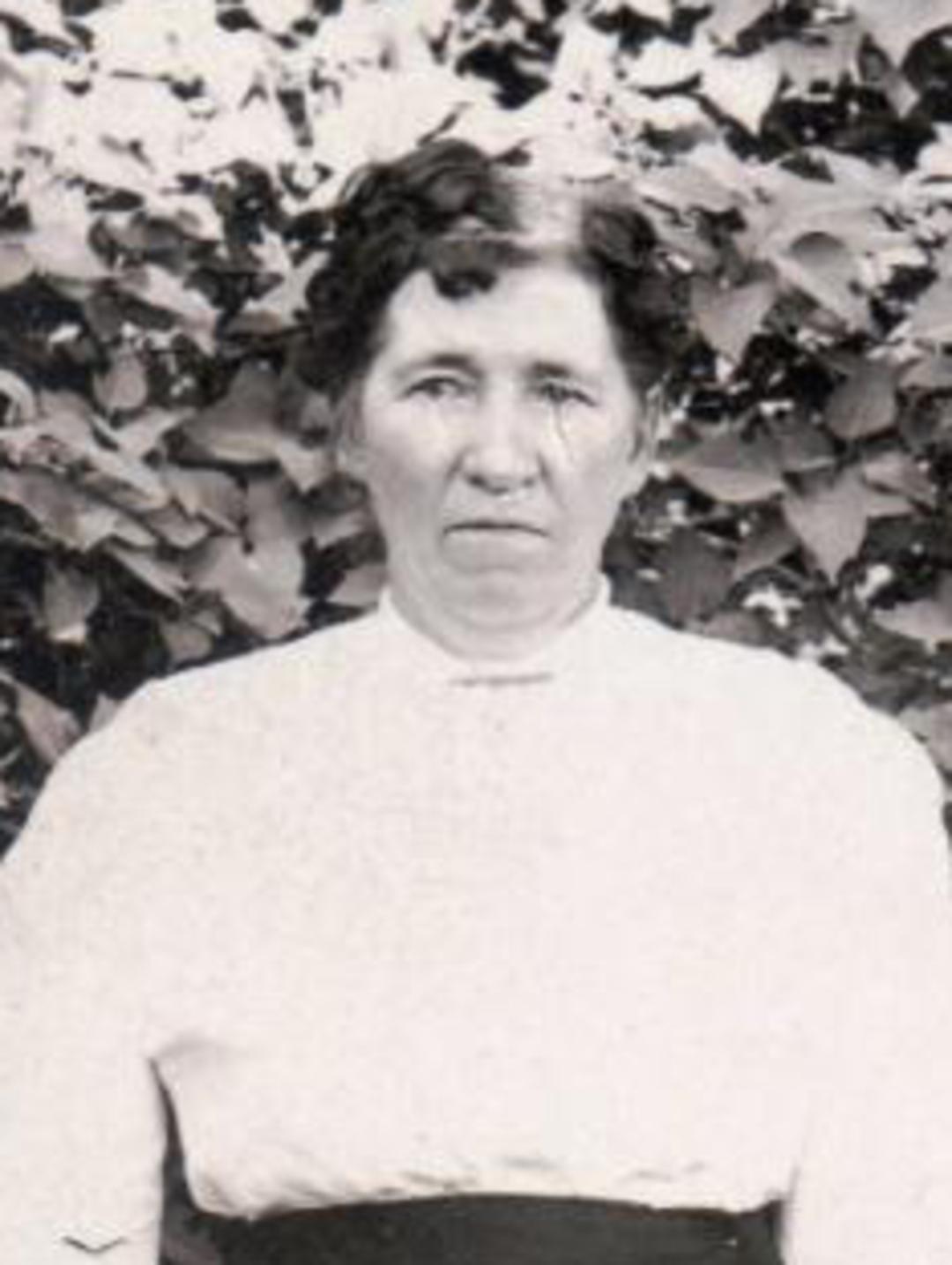 Hilda Charlotte Malmberg (1863 - 1950) Profile